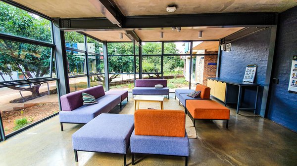 Découvrez les Top Pépinières en Ligne pour l'Achat de Vos Arbustes de Rêve